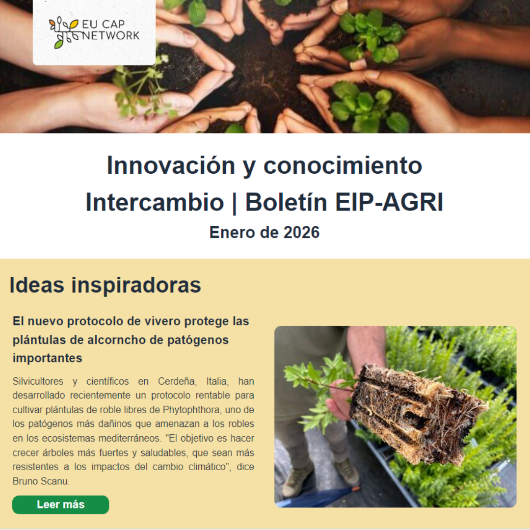 Boletín de Innovación europea "Enero 2026"