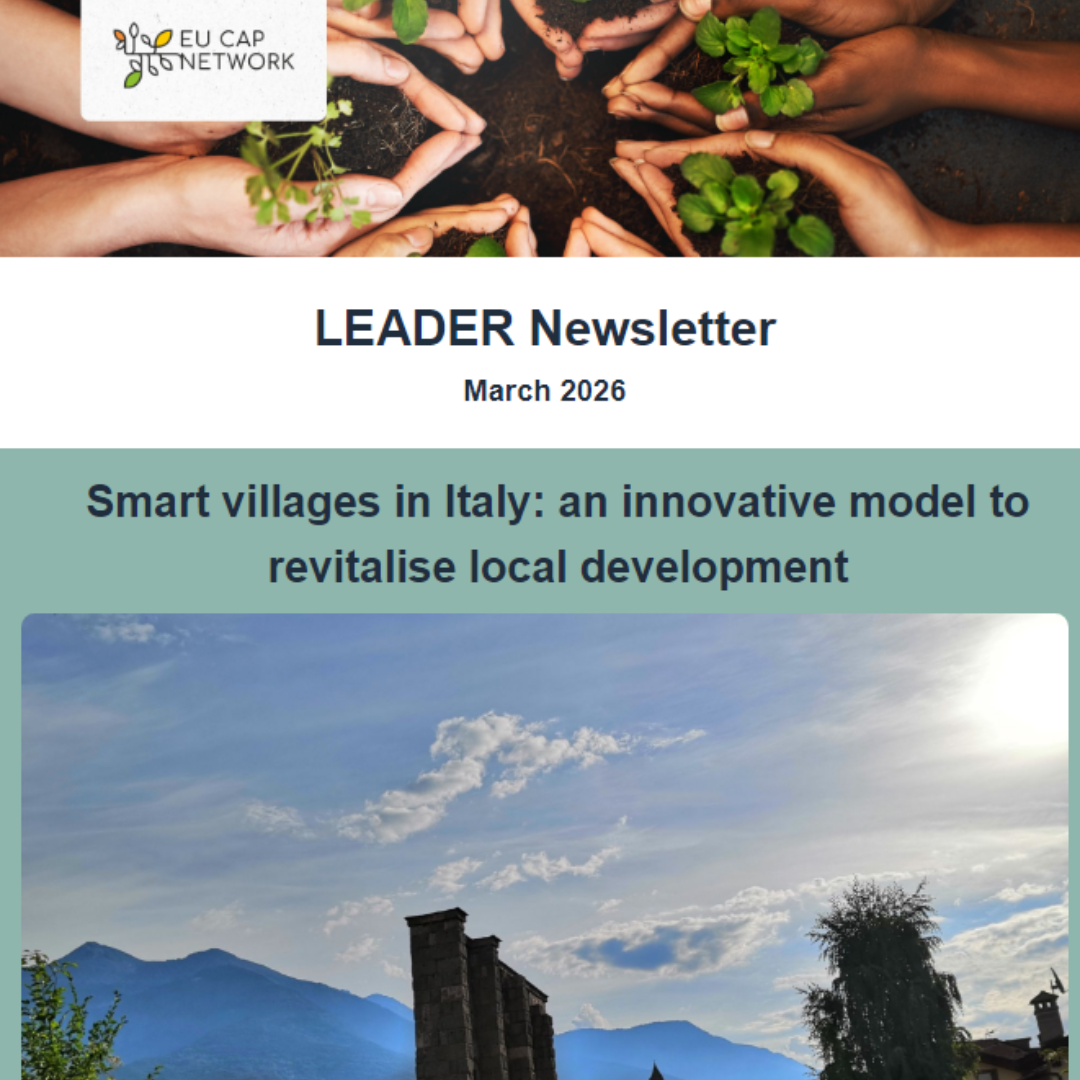Boletín LEADER de la Red Europea de la PAC