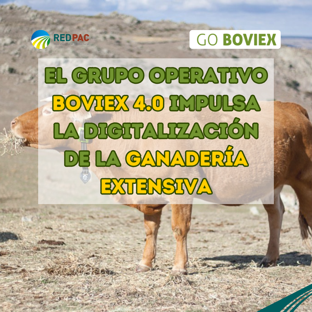 El Grupo Operativo BOVIEX 4.0 impulsa la digitalización de la ganadería extensiva