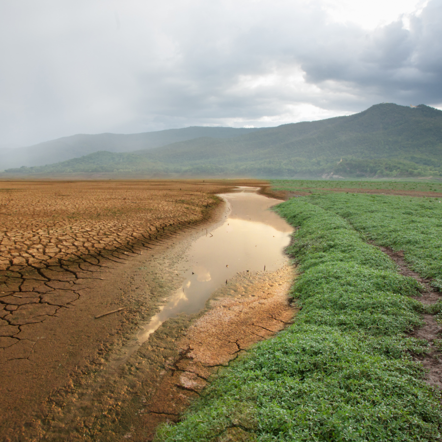 Cambio climático y gestión de recursos naturales