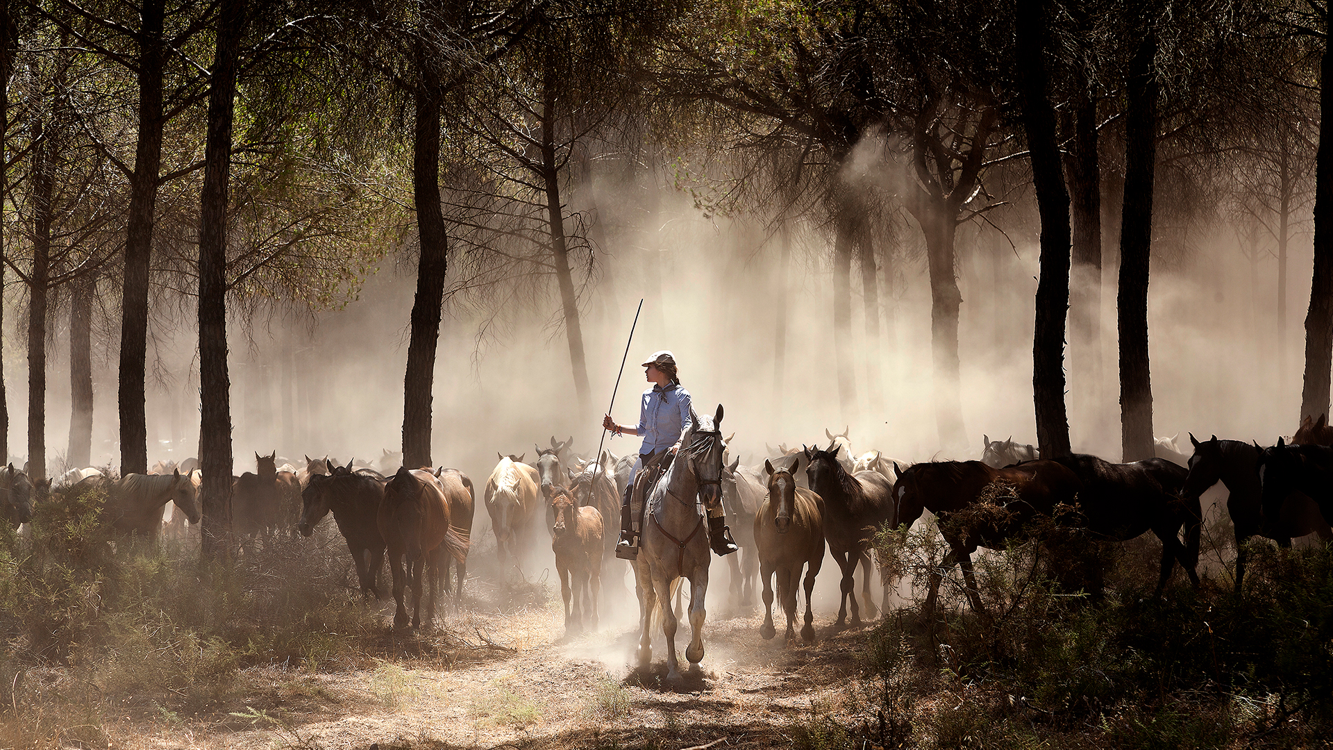 Saca las Yeguas de Doñana