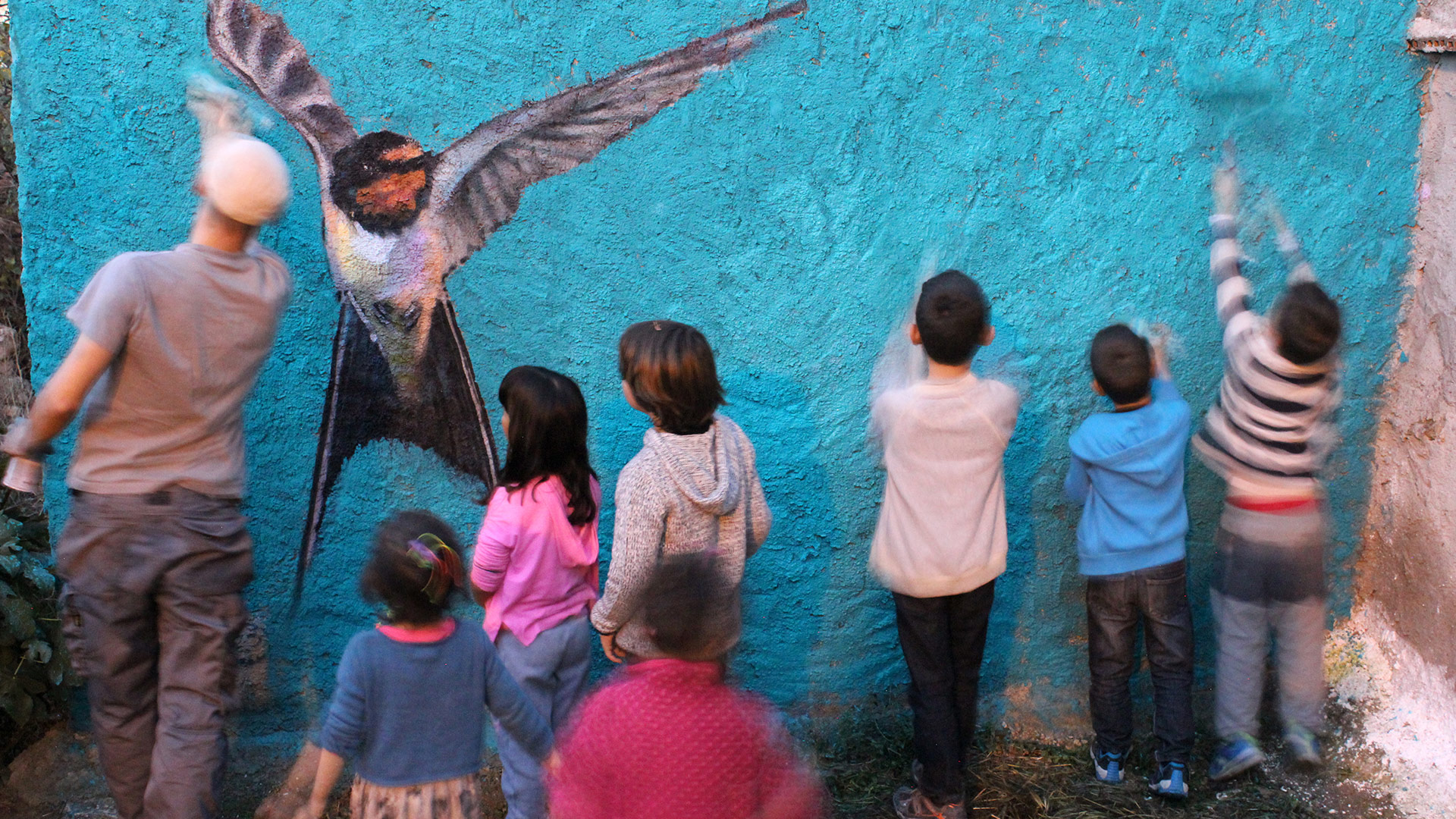 Golondrina pintada