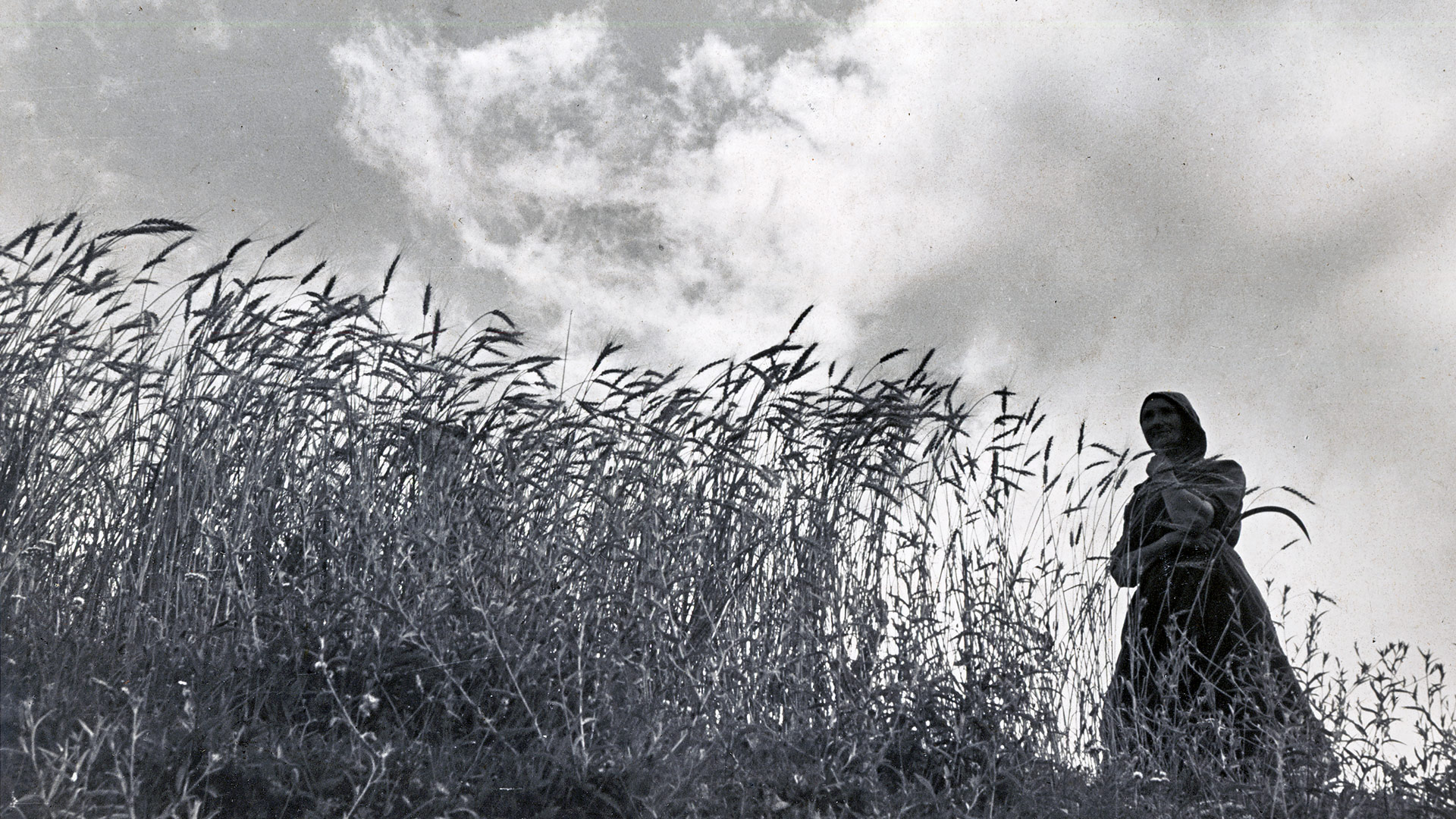 Gerardo López de Guareño