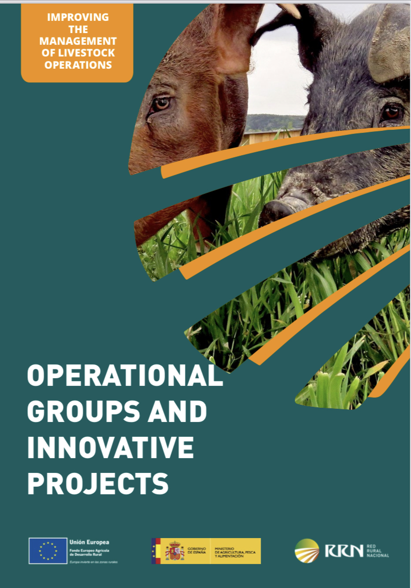 IMPROVING THE MANAGEMENT OF LIVESTOCK OPERATIONS. OPERATIONAL GROUPS AND INNOVATIVE PROJECTS