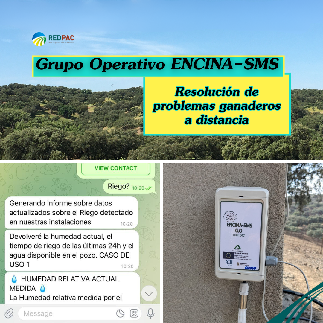 El Grupo Operativo “ENCINA-SMS” desarrolla tecnologías de fácil uso para la gestión de ganaderías a distancia