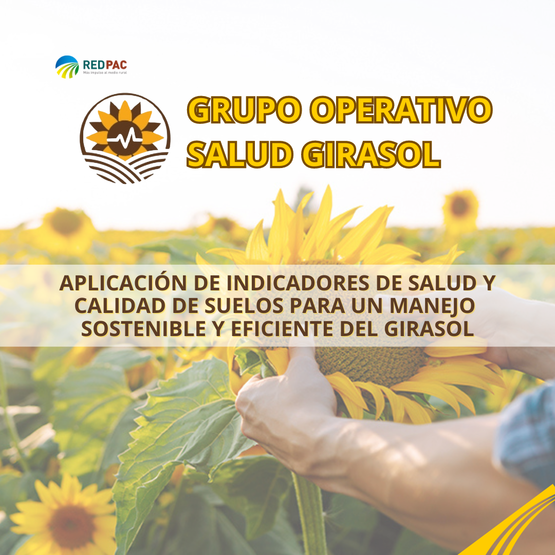 El Grupo Operativo Salud Girasol mejora la eficiencia del cultivo del girasol