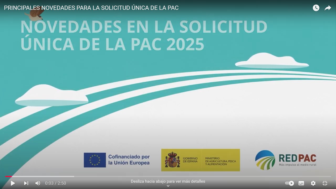 Principales novedades en la Solicitud Única de la PAC 