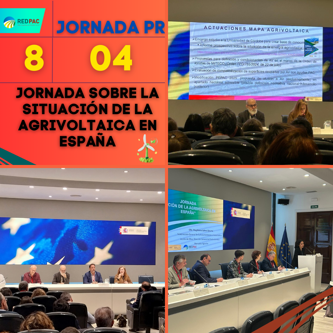 La Red PAC organiza una jornada sobre la situación de la agrivoltaica en España