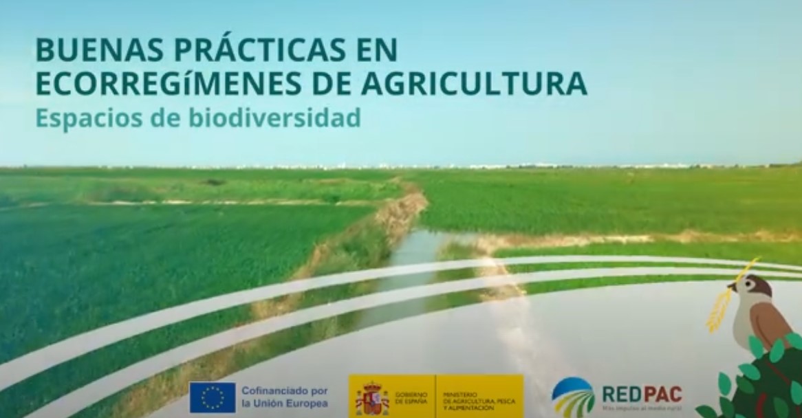 Good practices in agricultural ecoregimes: Biodiversity Spaces