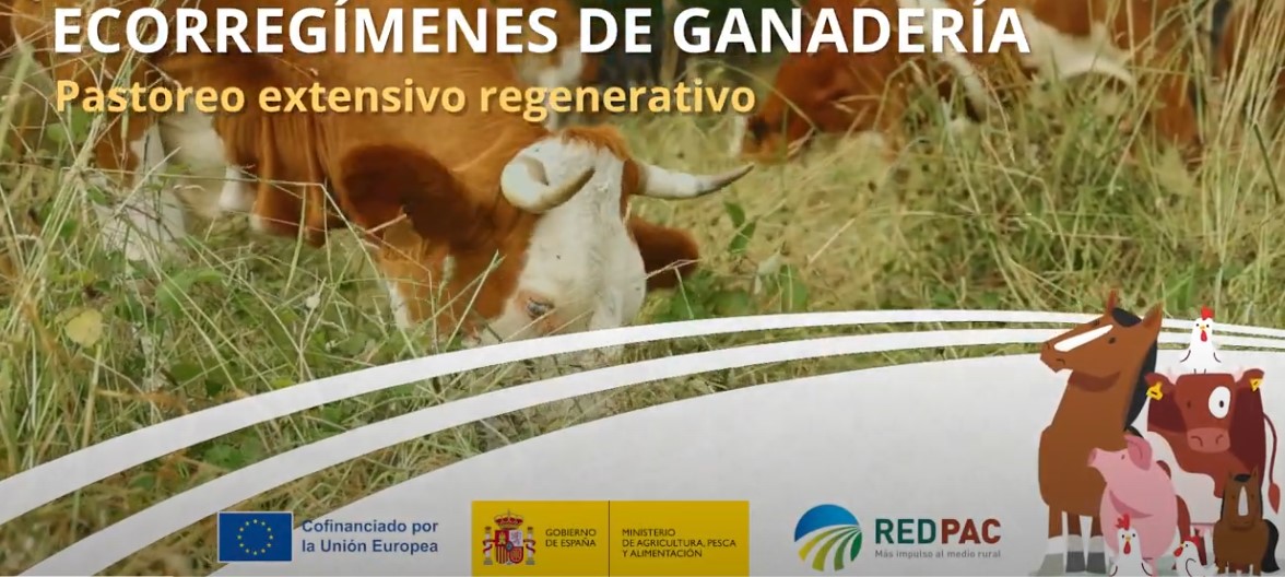 Good practices in livestock ecoregimes: Regenerative extensive grazing