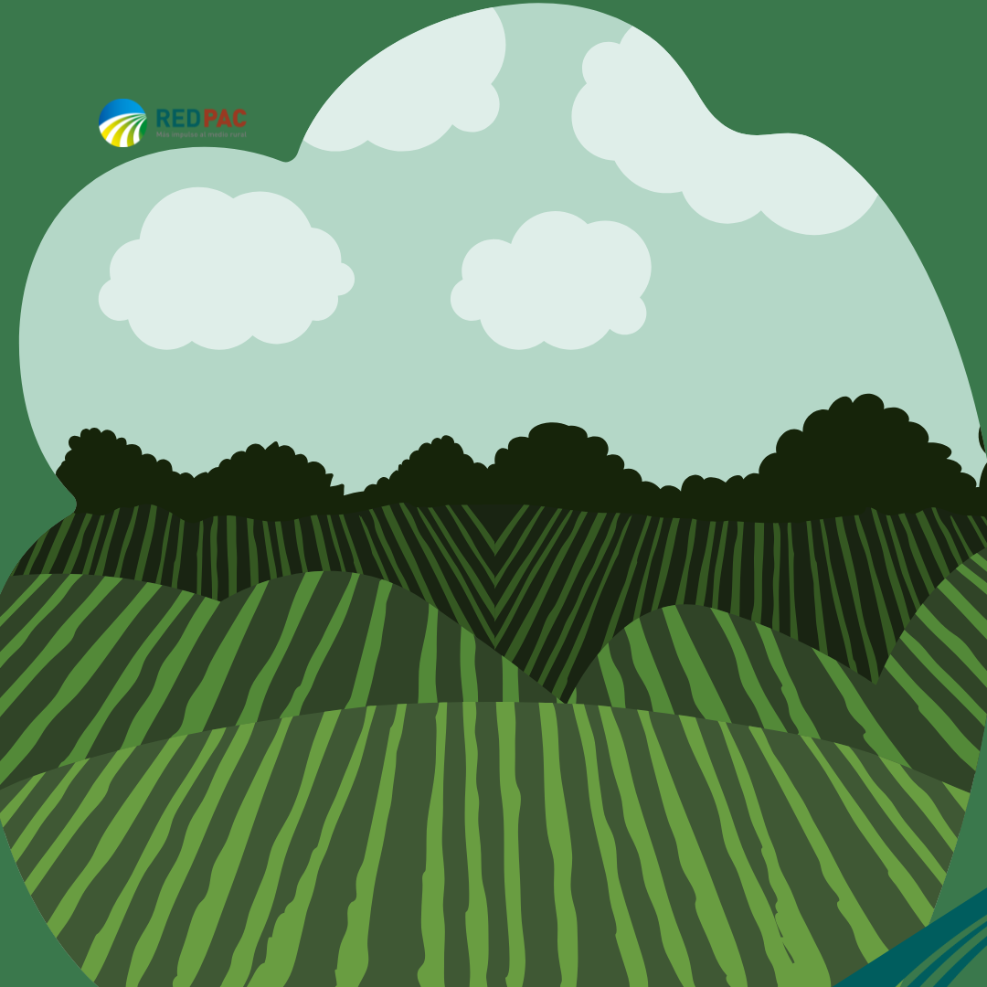 Boletín Red PAC - NOVIEMBRE 2025 La Red PAC presenta su boletín de noticias para que las experiencias del mundo rural español puedan llegar a todas las personas, organizaciones e instituciones implicadas en el desarrollo sostenible.