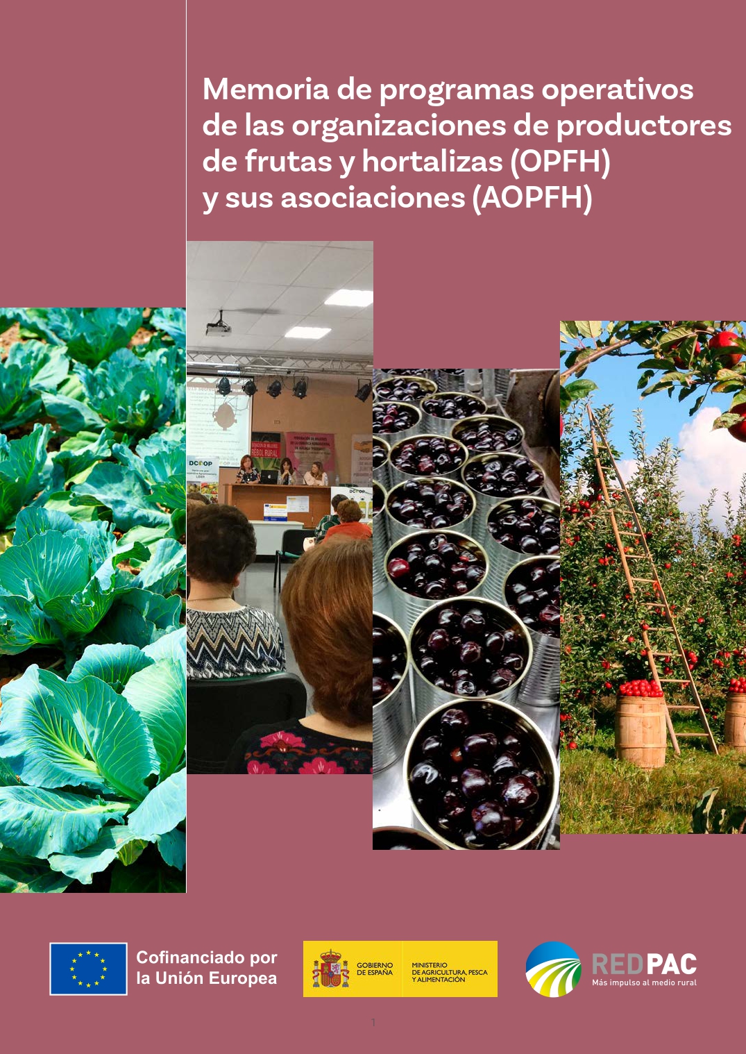 portada_memoria_OPFH