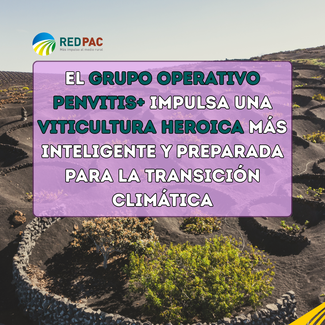 El Grupo Operativo PENVITIS+ impulsa una viticultura heroica más inteligente y preparada para la transición climática