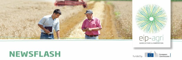 Grupos Focales AEI-AGRI (EIP-AGRI Focus Group).