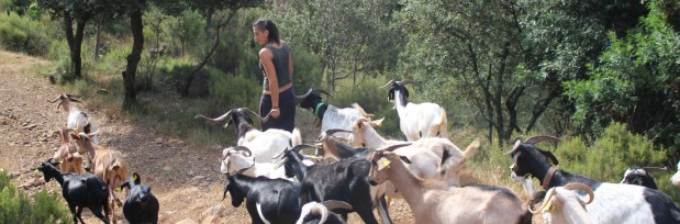 “La Mujer en el medio rural”