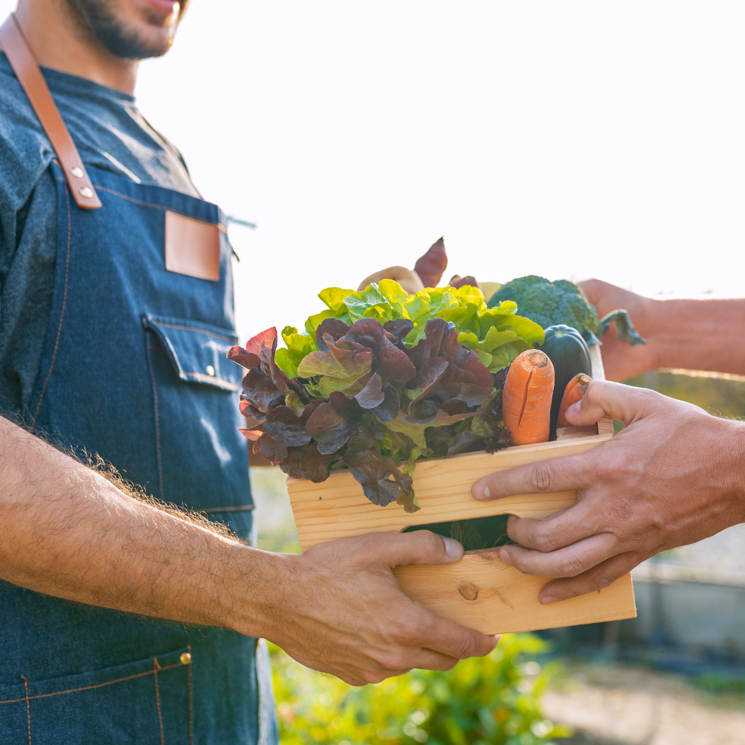 Calidad y cadena alimentaria