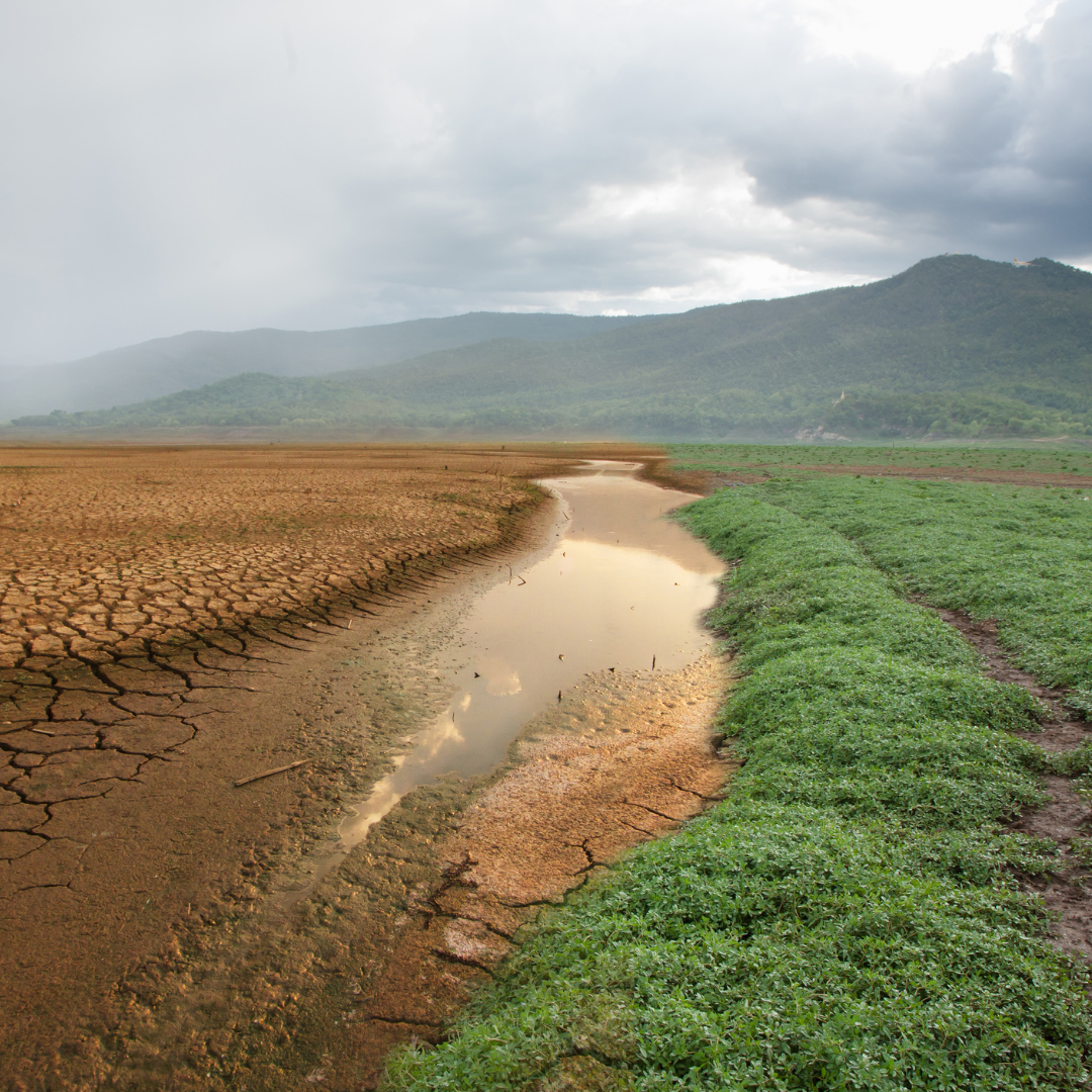 Cambio Climático