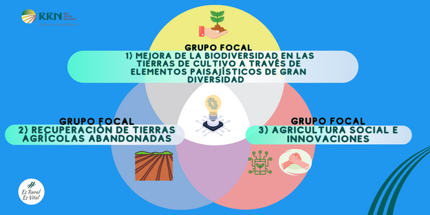 EIP-AGRI Grupos Focales