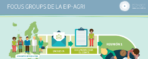 Grupos focales o de estudio EIP-AGRI