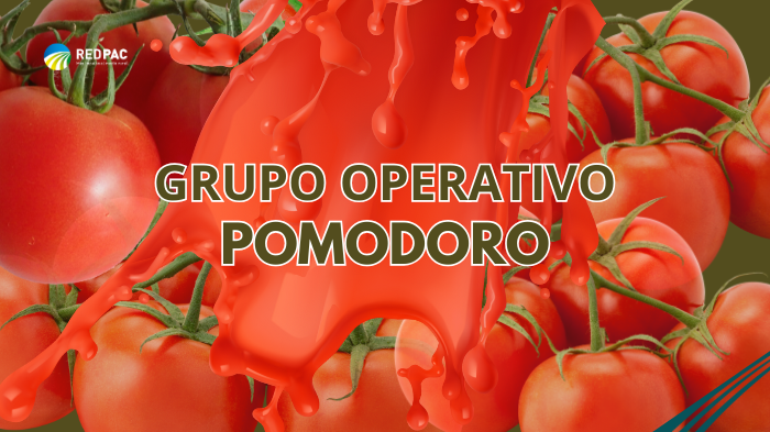 grupo operativo pomodoro