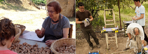 Jóvenes y mujeres en el medio rural