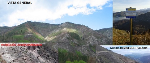 Obras de restauración del gran incendio forestal de diciembre de 2015 en Parres (Asturias)