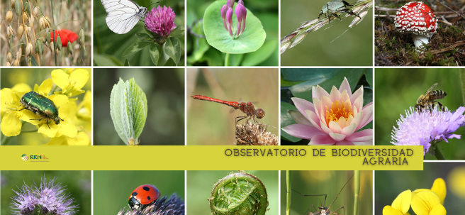 Observatorio Biodiversidad