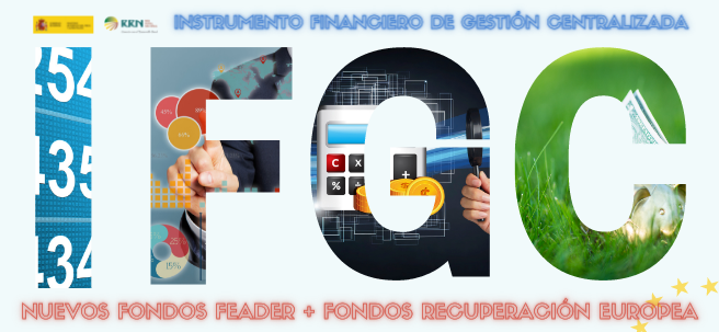 Instrumento Financiero de Gestión Centralizada