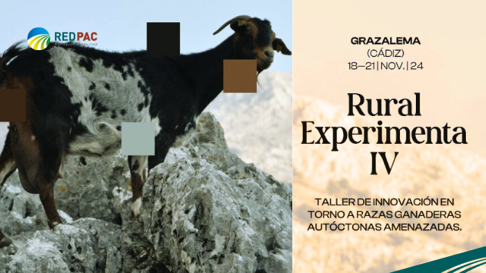 •	El Ministerio de Cultura y el Ministerio de Agricultura, Pesca y Alimentación impulsan el “Taller de innovación en torno a razas ganaderas autóctonas amenazadas” dentro del proyecto “Rural Experimenta IV”  