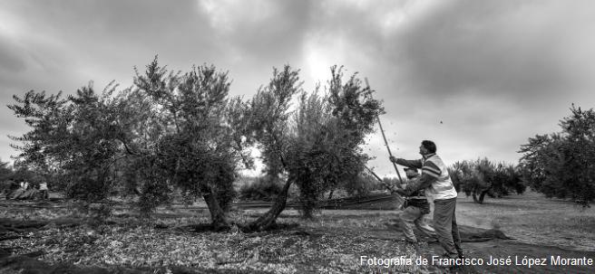 Grupo Focal de Acceso a la Tierra