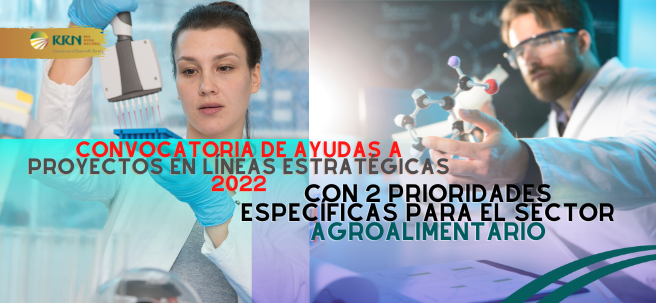 Proyectos en líneas estratégicas 2022