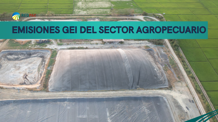 sector agropecuario 