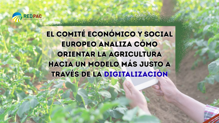 El CESE apuesta por la digitalización agraria para aumentar su rentabilidad y sostenibilidad 