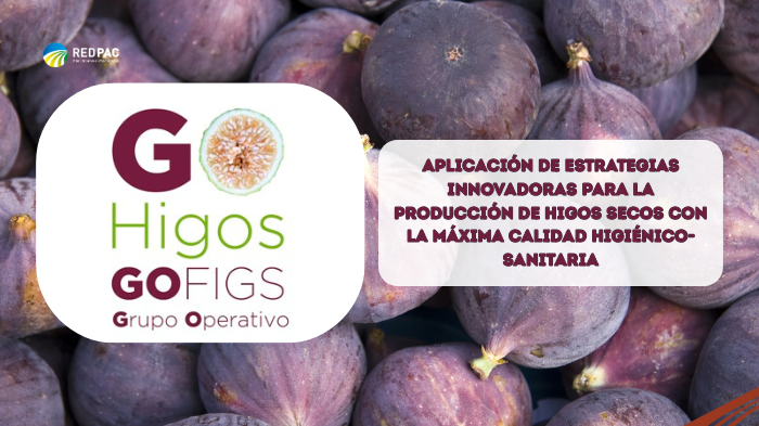 Grupo Operativo HIGOS 