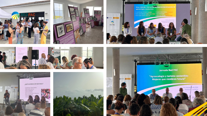 La Red PAC reúne en La Palma experiencias de agroecología, turismo sostenible y liderazgo femenino para impulsar el desarrollo ruralLa Red PAC reúne en La Palma experiencias de agroecología, turismo sostenible y liderazgo femenino para impulsar el desarrollo ruralLa Red PAC reúne en La Palma experiencias de agroecología, turismo sostenible y liderazgo femenino para impulsar el desarrollo rural