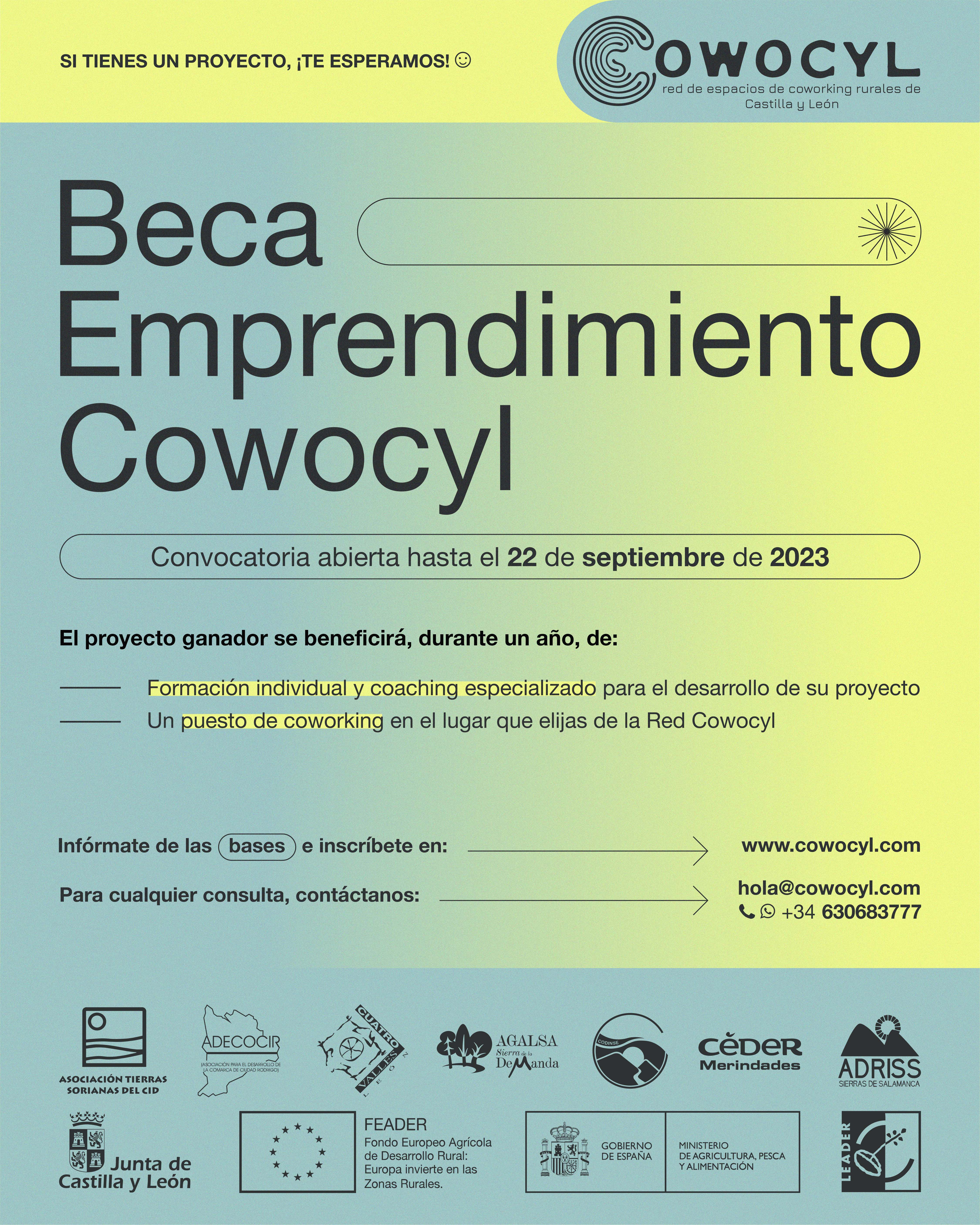 https://cowocyl.com/beca-cowocyl/