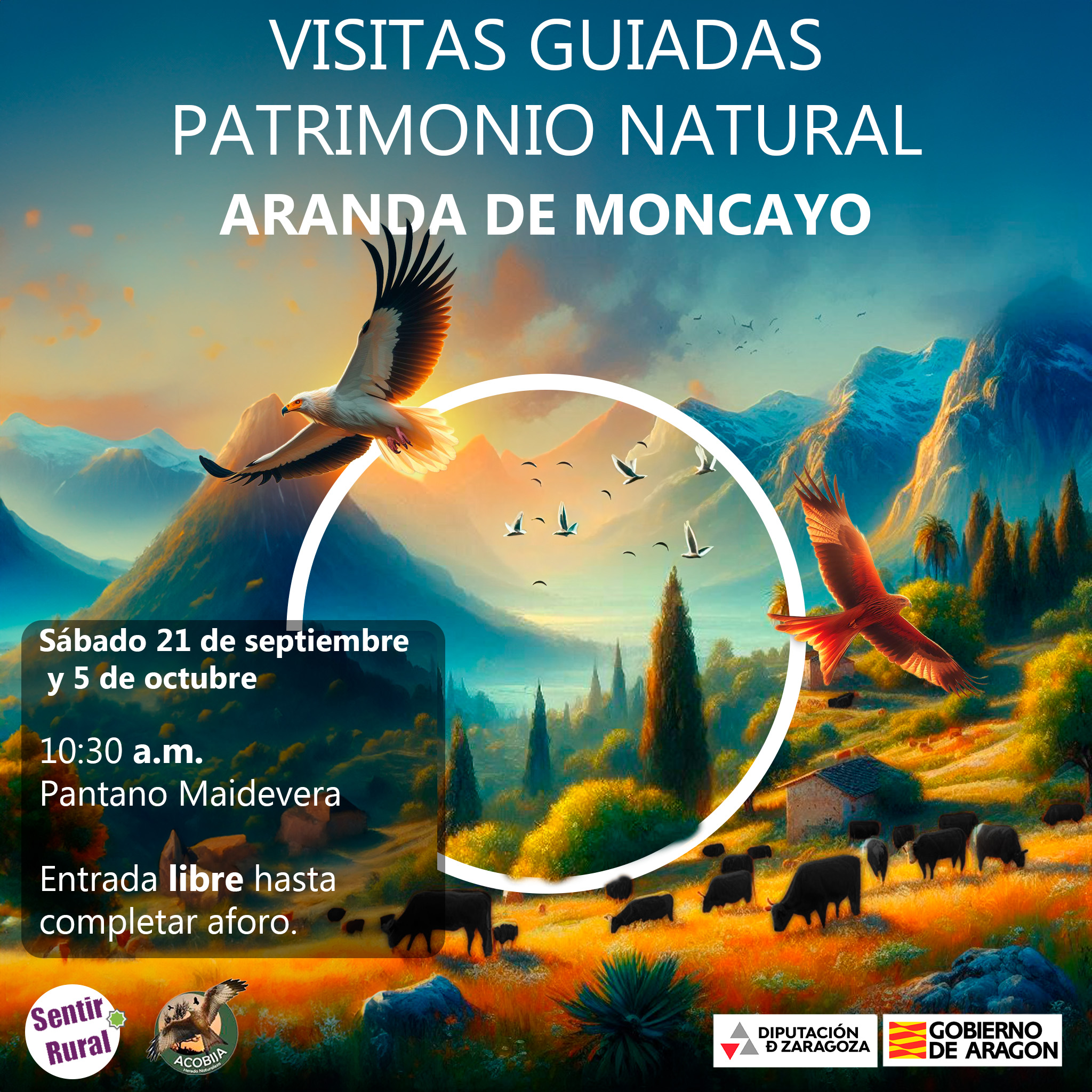 Un día de aventura y aprendizaje al aire libre para todas las edades en el parque protegido natural del Moncayo