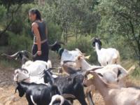 “La Mujer en el medio rural”