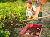 Agricultura