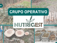 Grupo Operativo Nutrigest