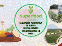 GO Superfood Biotech