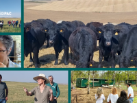 La Red PAC promueve la agroganadería regenerativa como modelo de futuro para el campo español mediante un taller formativo 