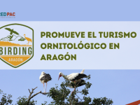 Birding Aragón promueve el turismo ornitológico en la región
