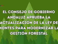 Ley de Montes de Andalucía