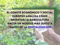 El CESE apuesta por la digitalización agraria para aumentar su rentabilidad y sostenibilidad 