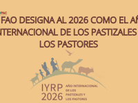 La “Organización de las Naciones Unidas para la Alimentación y la Agricultura” (FAO) declara a 2026 el “Año Internacional de los Pastizales y los Pastores”