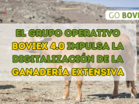 El Grupo Operativo BOVIEX 4.0 impulsa la digitalización de la ganadería extensiva
