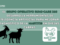 El Grupo Operativo RUMI-CARE 360 desarrolla herramientas de inteligencia artificial para mejorar el diagnóstico de la mastitis en ovejas y cabras El Grupo Operativo RUMI-CARE 360 desarrolla herramientas de inteligencia artificial para mejorar el diagnóstico de la mastitis en ovejas y cabras El Grupo Operativo RUMI-CARE 360 desarrolla herramientas de inteligencia artificial para mejorar el diagnóstico de la mastitis en ovejas y cabras El Grupo Operativo RUMI-CARE 360 desarrolla herramientas de inteligencia a