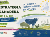 La Unión Europea reconoce el papel estratégico de la ganadería con una nueva Estrategia Ganadera y un Plan Europeo de Proteínas