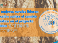Las mujeres rurales lideran la acción contra el cambio climático en el proyecto andaluz “Raíces de Sororidad”Las mujeres rurales lideran la acción contra el cambio climático en el proyecto andaluz “Raíces de Sororidad”
